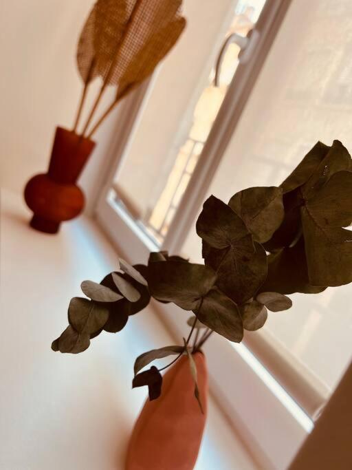 Appartement Cosy Centre-Ville Saint-Etienne  Ngoại thất bức ảnh