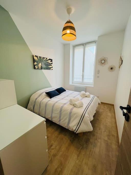 Appartement Cosy Centre-Ville Saint-Etienne  Ngoại thất bức ảnh